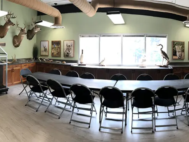 Prairie Park Nature Center Classroom Panorama