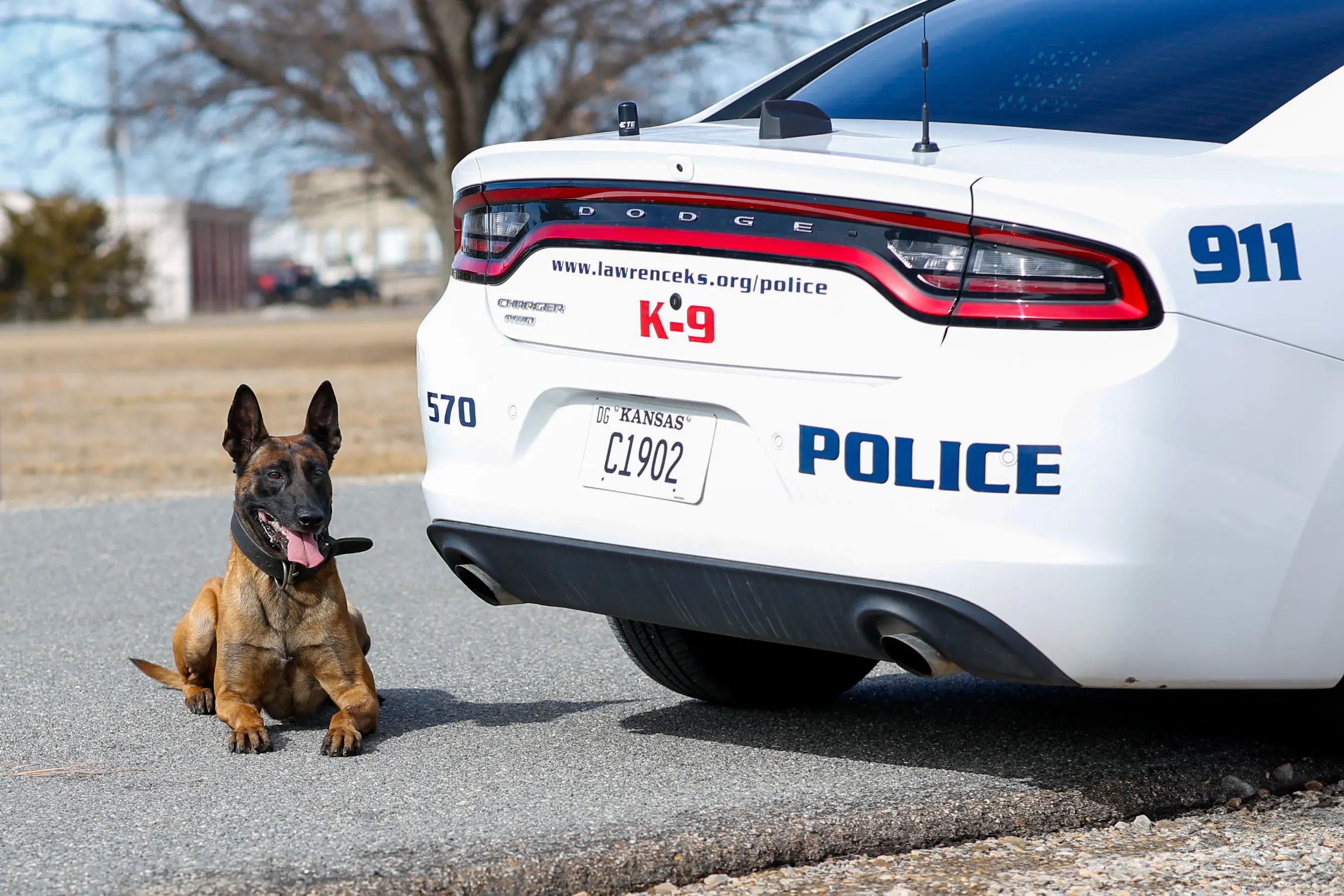 K9 Mack waits for Corporal Henderson’s next command.